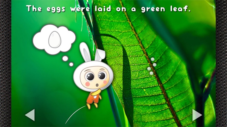 Pepa and the Butterfly - Read & Learn Storybook