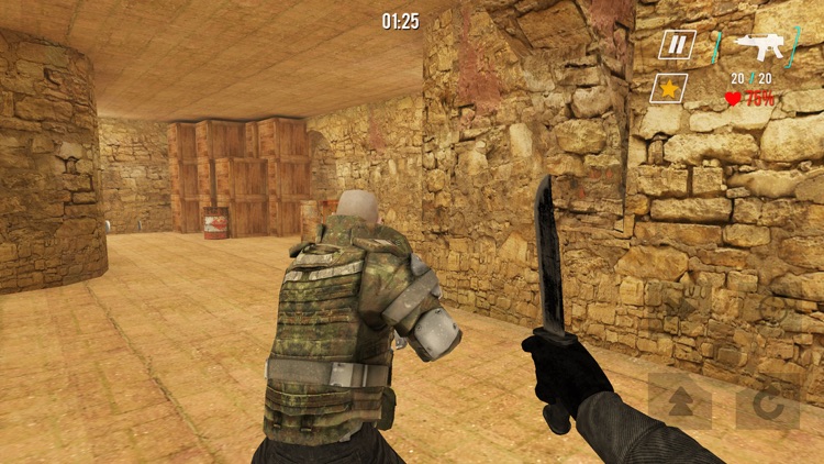 Counter SWAT Forces screenshot-4