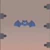 冒险的蝙蝠 － 快来感受一下蝙蝠的世界