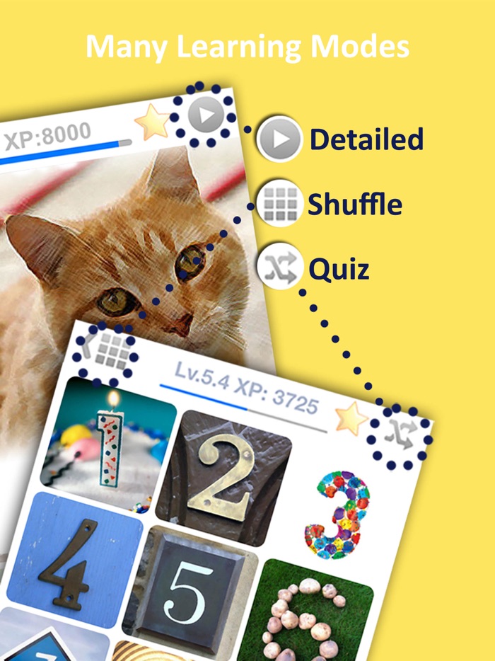 LETS Travel Turkey Talk Turkish Phrase Guide Book