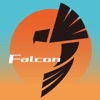 FastFalcon