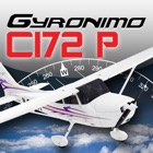 C172P Performance Pad