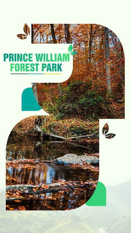 Prince William Forest Park Travel Guide