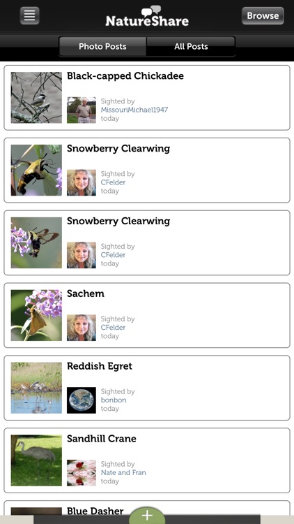 Audubon Bird Guide: North America screenshot-4