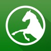 iHorseApp