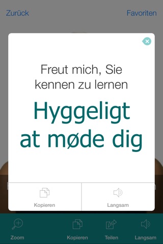 Danish Pretati - Translate, Learn and Speak Danish with Video Phrasebook screenshot 3