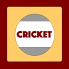 AAA Cricket Sport - Guide to game, players, record