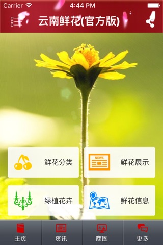 云南鲜花(官方版) screenshot 2