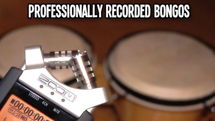 Bongos - Dynamic Bongo Drums