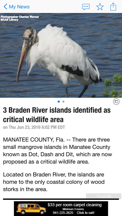 ABC 7 Tampa Area News