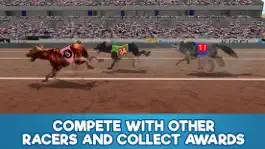 Game screenshot Dog Racing Tournament Sim 3D hack