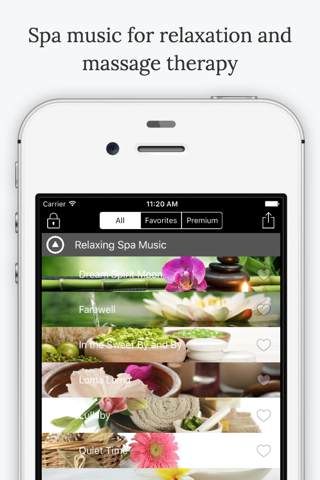 Relaxing Spa Music Pro screenshot 3