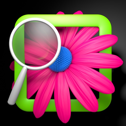PicFind iOS App