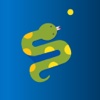 Infinity Snake : Grow Tail & Avoid Walls Touching