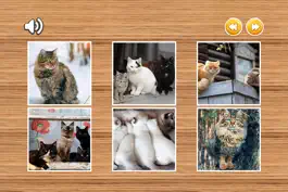 Game screenshot Милый Кот Котенок Игра Головоломки Для Детей Дошкольного И Детского Сада Бесплатно hack