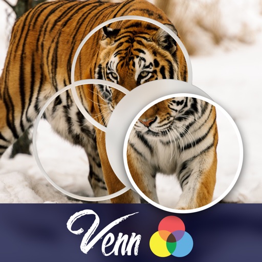 Venn Tigers: Overlapping Jigsaw Puzzles icon