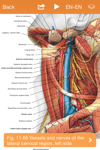 Sobotta Anatomy screenshot 4