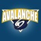 NJ Avalanche Organization 