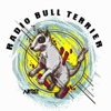 Radio Bull Terrier