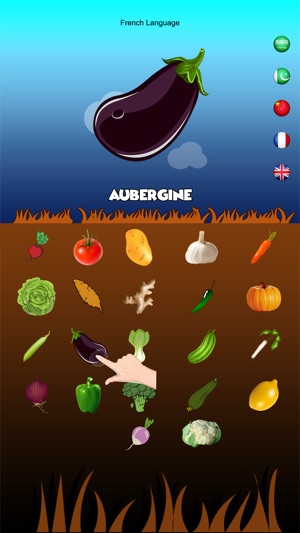 Multilingual Vegetable Names(圖2)-速報App