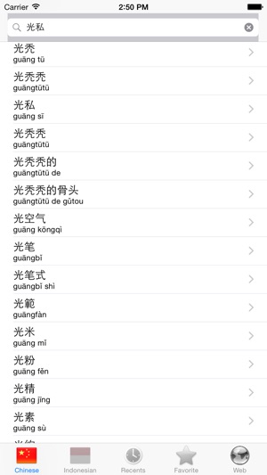 Chinese Indonesian best dictionary