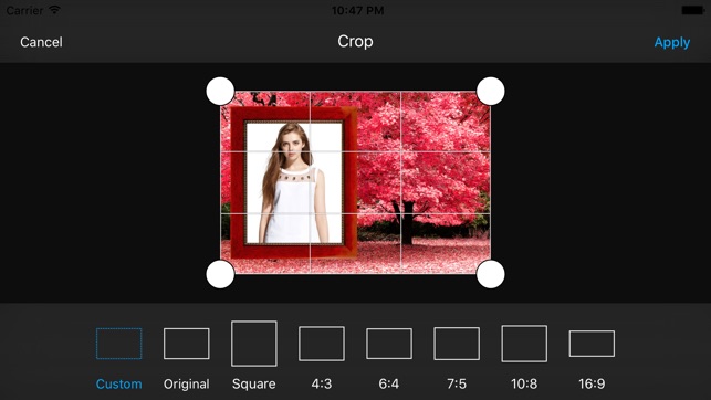 All Season Photo Frames(圖4)-速報App