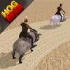 Hog Rider : Ride &amp; Race Pigs