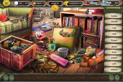 Hidden Object : Living The Traditional screenshot 2