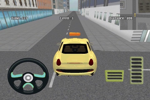 Real Car Parking & Driving Pro screenshot 3