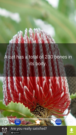 Animal Facts - 2000+ Interesting Facts About Animals(圖1)-速報App