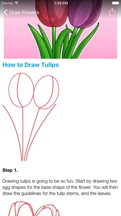 How To Draw Flowers - Step By Step Drawing