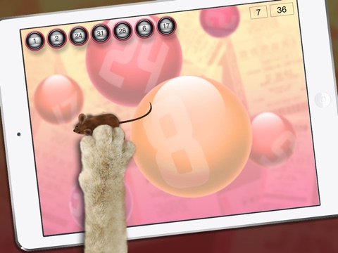 Lucky Cat Lottery Numbers - Catch Game For Cats screenshot 4