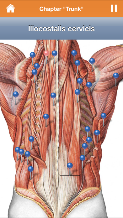 How to cancel & delete Sobotta Anatomy from iphone & ipad 3