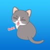 Lovely Kittens Animated Stickers for iMessage