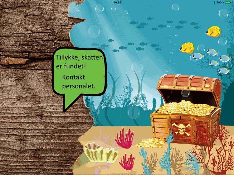 Skattejagt screenshot-4