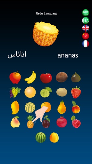 Fruits Dictionary Multilingual(圖2)-速報App