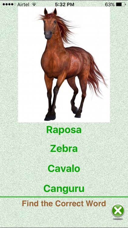 Flashcards Portuguese Lesson screenshot-4