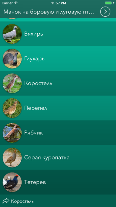 Охотничий манок на боровую и луговую птицу screenshot 2