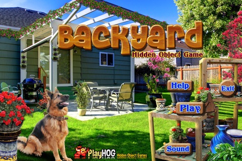 Backyard Hidden Objects Games screenshot 4