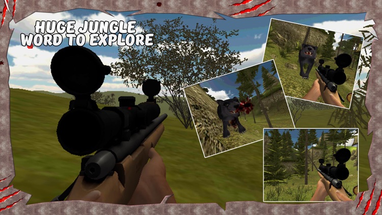 Wild Cat Hunter Simulator – Chase & shoot down animals in this shooting simulation game