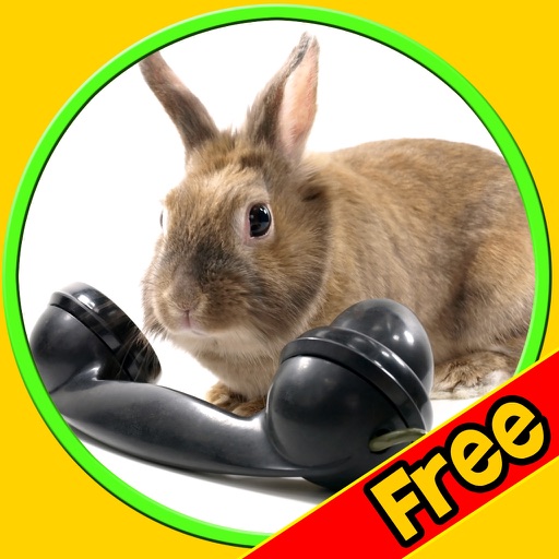 gentile rabbits for kids - free icon