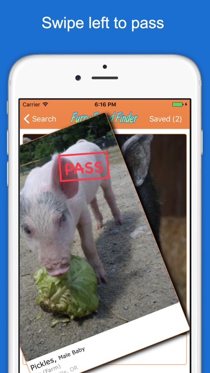 Furry Friend Finder Pet Rescue screenshot-3