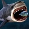 You are the King of the Fish Tank