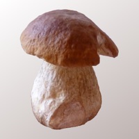 Myco pour PC