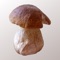 Myco is the perfect app for people who collect mushrooms