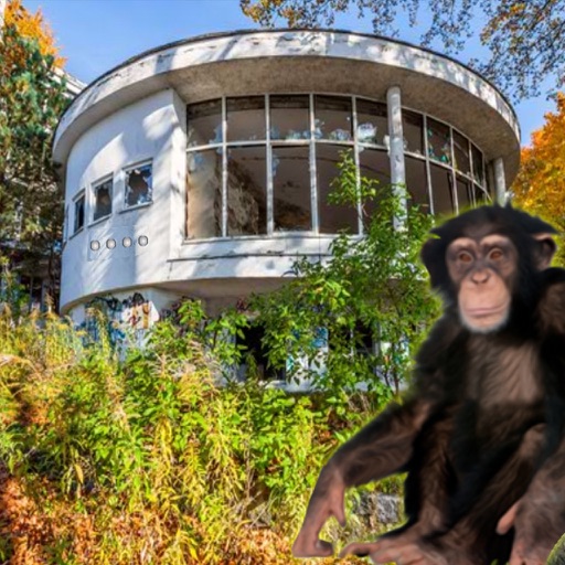 Abandoned Building Monkey Escape