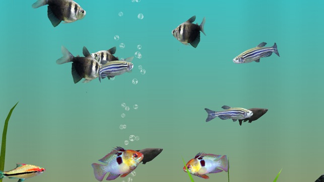 MyLake 3D Aquarium(圖3)-速報App