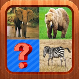 Animals Picture Quiz Word Learning Puzzles Games