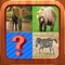 Animals Picture Quiz Word Learning Puzzles Games