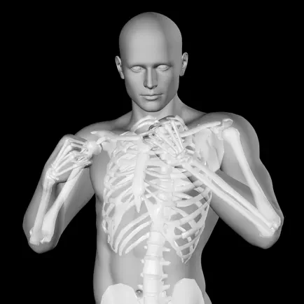 360 Anatomy for Artists HD: Male Figure Читы